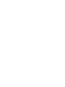 ECHO 2010